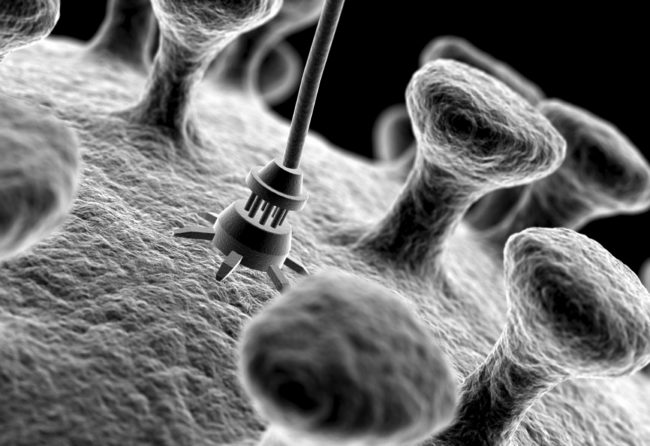 nanomaterialele